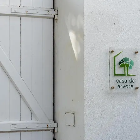 Casa Da Arvore
